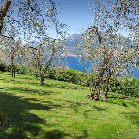 Villa Dismero-Un Oasi Di Lusso E Privacy Brenzone sul Garda Eksteriør bilde