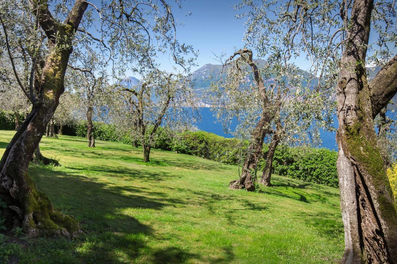 Villa Dismero-Un Oasi Di Lusso E Privacy Brenzone sul Garda Eksteriør bilde