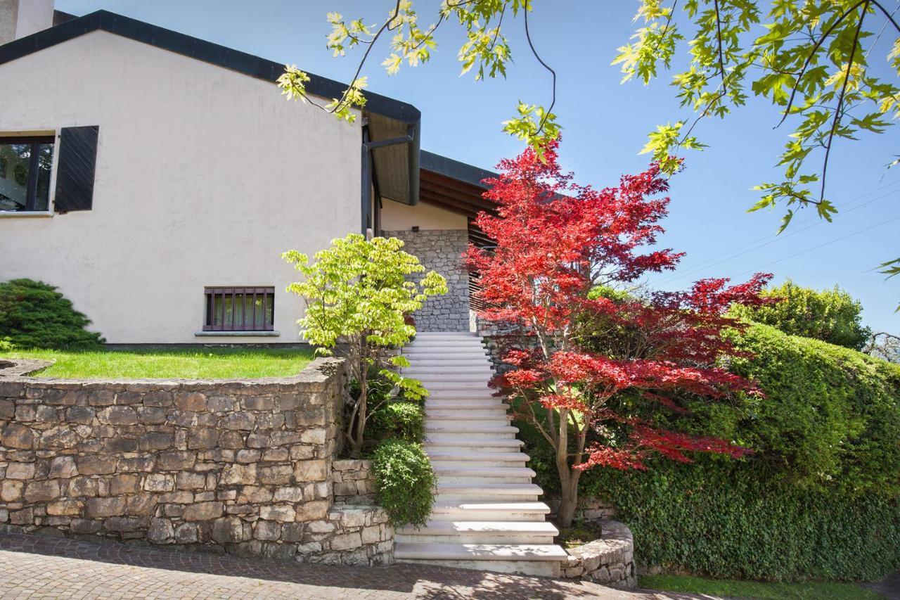Villa Dismero-Un Oasi Di Lusso E Privacy Brenzone sul Garda Eksteriør bilde